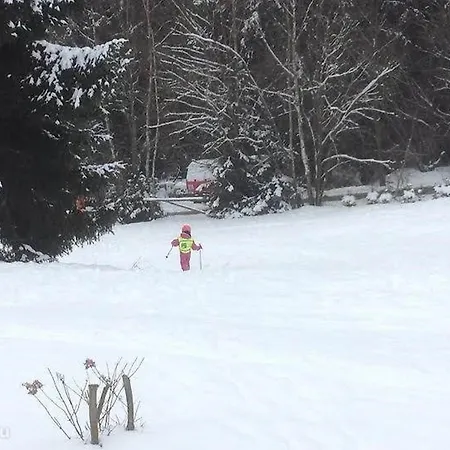 Gamma - Lipno * Lipno nad Vltavou