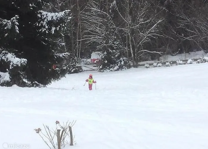 Gamma - Lipno * Lipno nad Vltavou